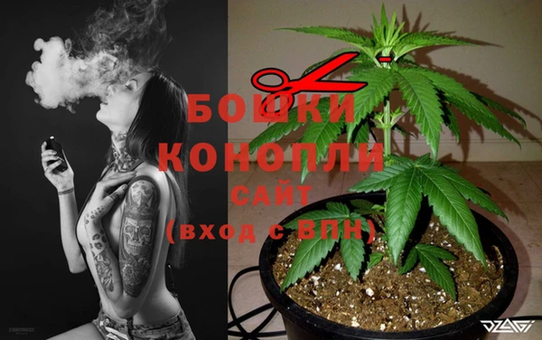 дживик Киреевск