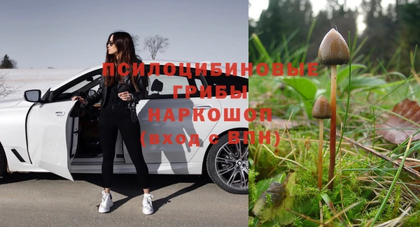 дживик Киреевск