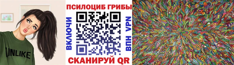 Галлюциногенные грибы прущие грибы  KRAKEN зеркало  Карталы  где продают  