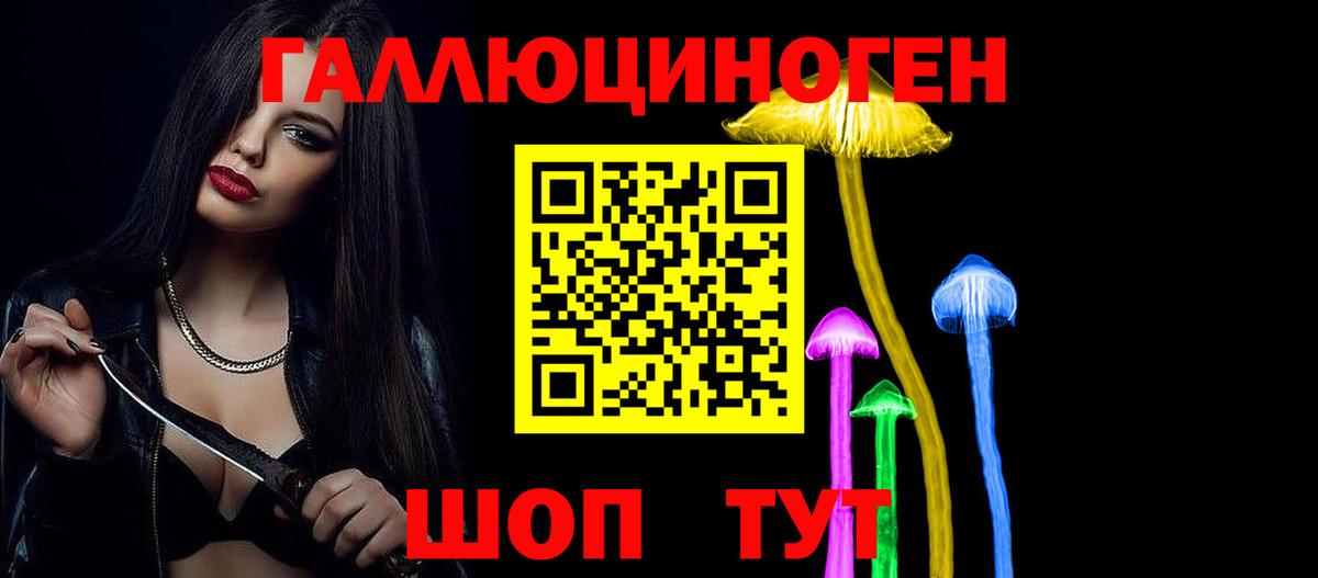 Карталы  Псилоцибиновые грибы Psilocybine cubensis  Вход с VPN 